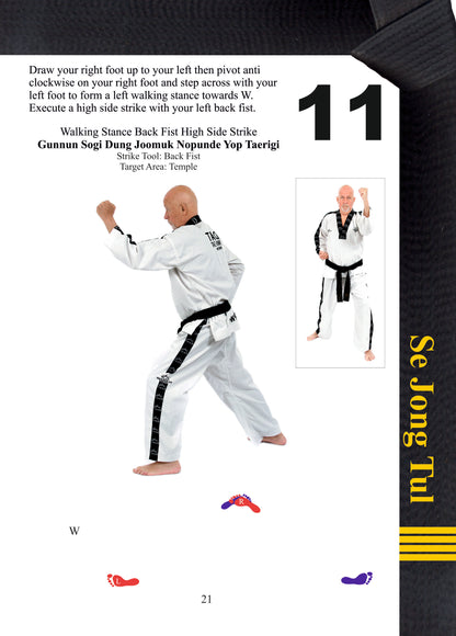 Taekwondo Black Belt Patterns 4th Dan