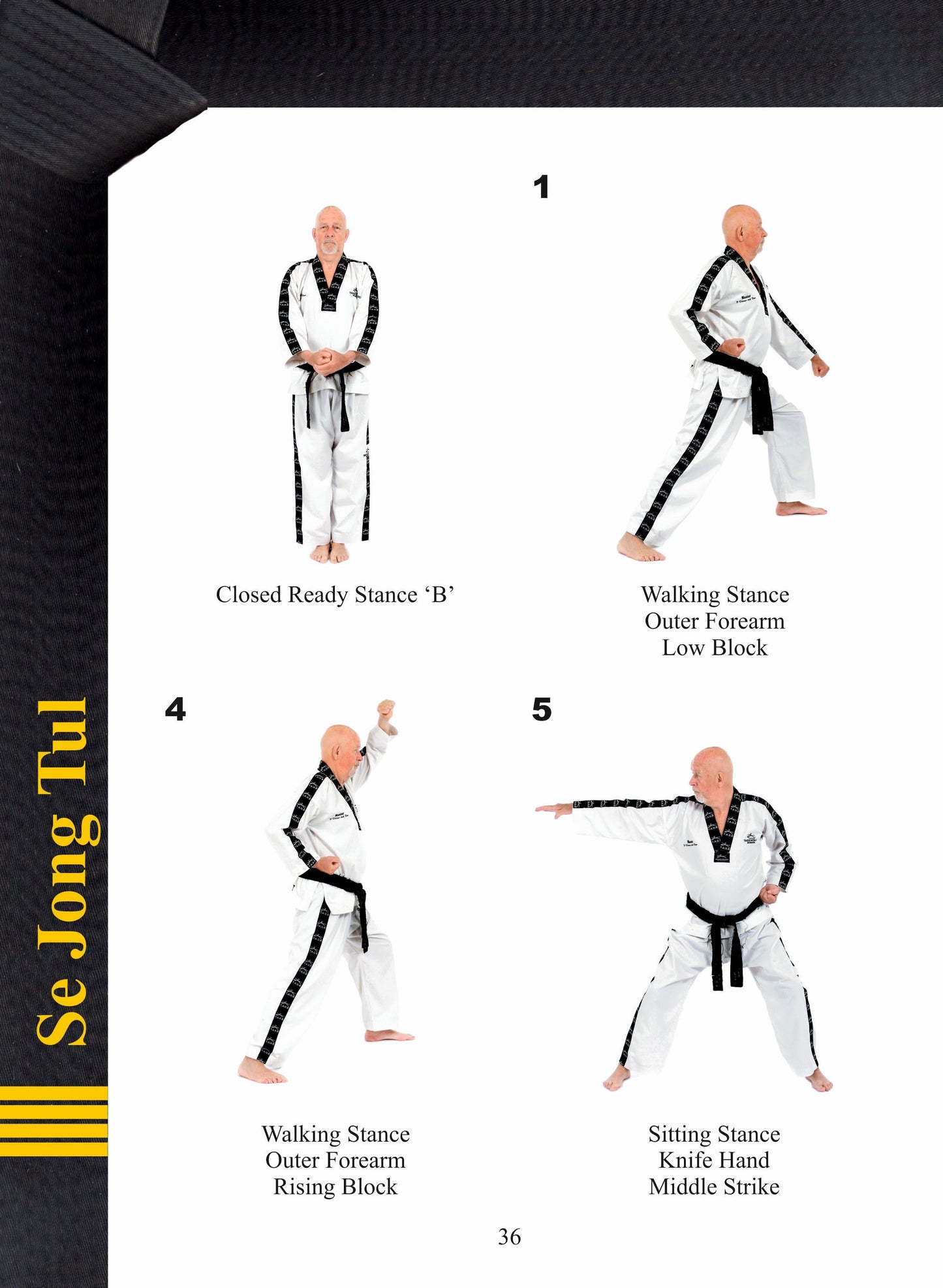 Taekwondo Black Belt Patterns 4th Dan