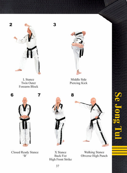 Taekwondo Black Belt Patterns 4th Dan