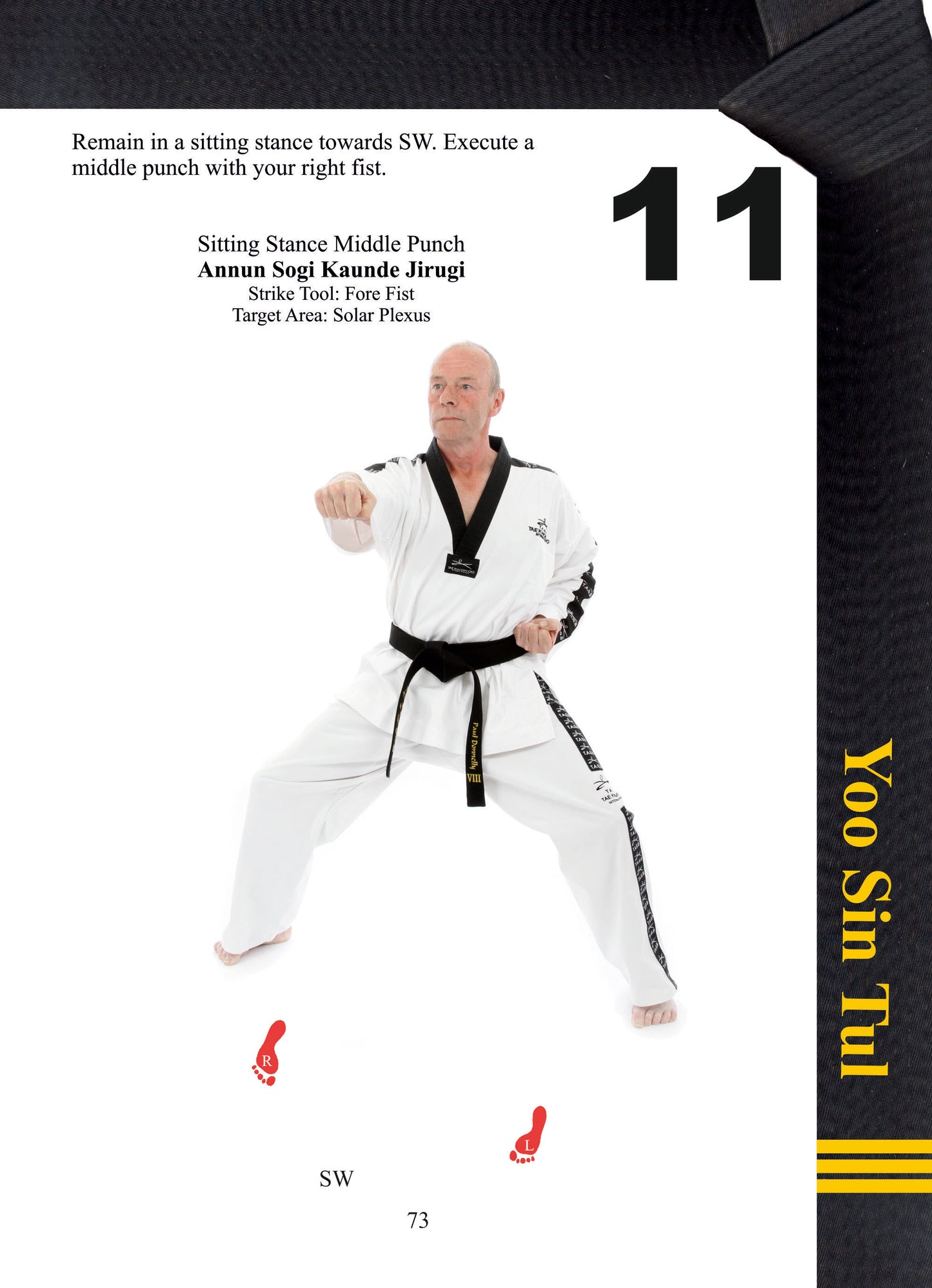 Taekwondo Black Belt Patterns 3rd Dan