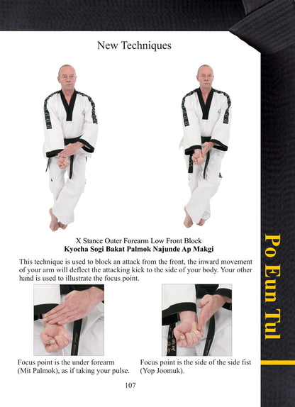 Taekwondo Black Belt Patterns 2nd Dan