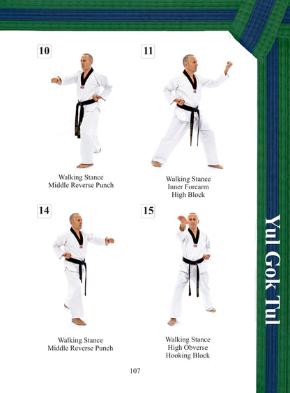 Colour Belt Taekwondo Patterns - Won Hyo, Yul Gok & Joong Gun