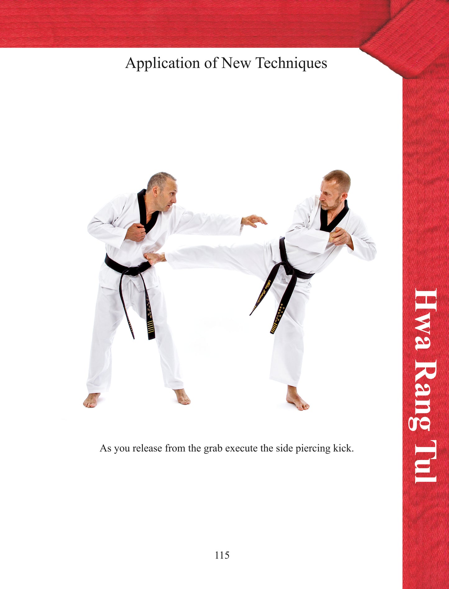 Colour Belt Taekwondo Patterns - Toi Gye, Hwa Rang & Choong Moo