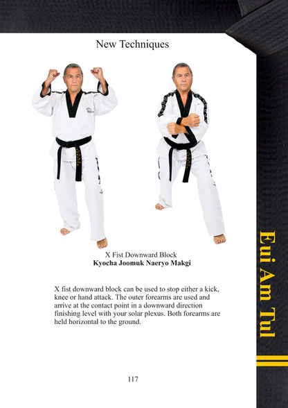 Taekwondo Black Belt Patterns 2nd Dan