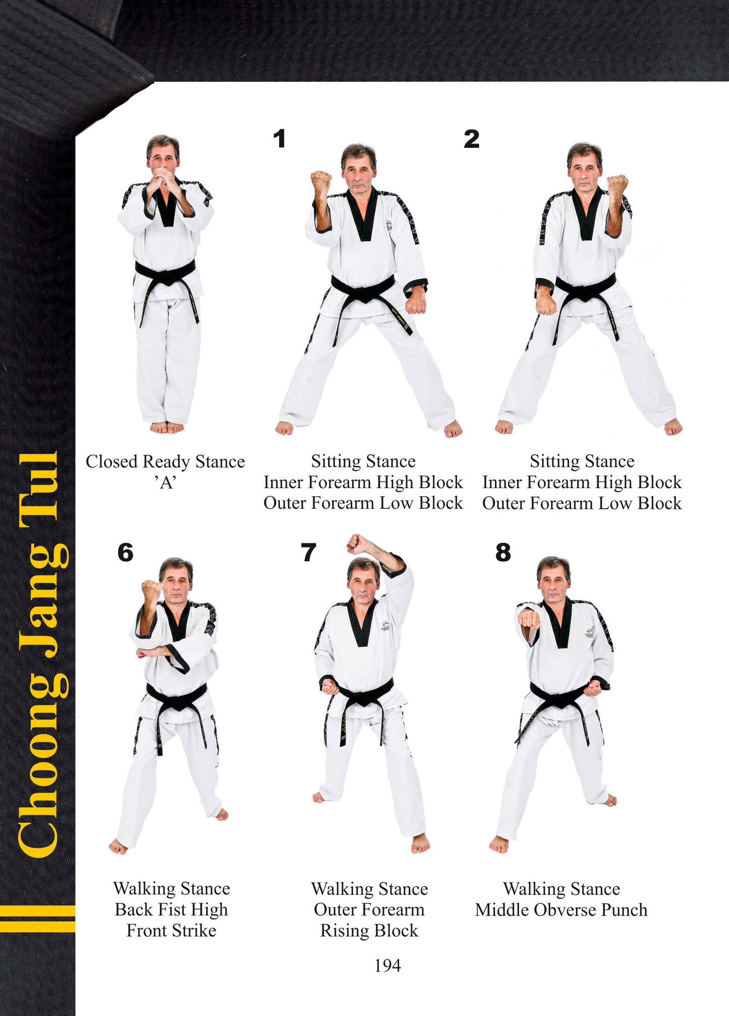 Taekwondo Black Belt Patterns 2nd Dan