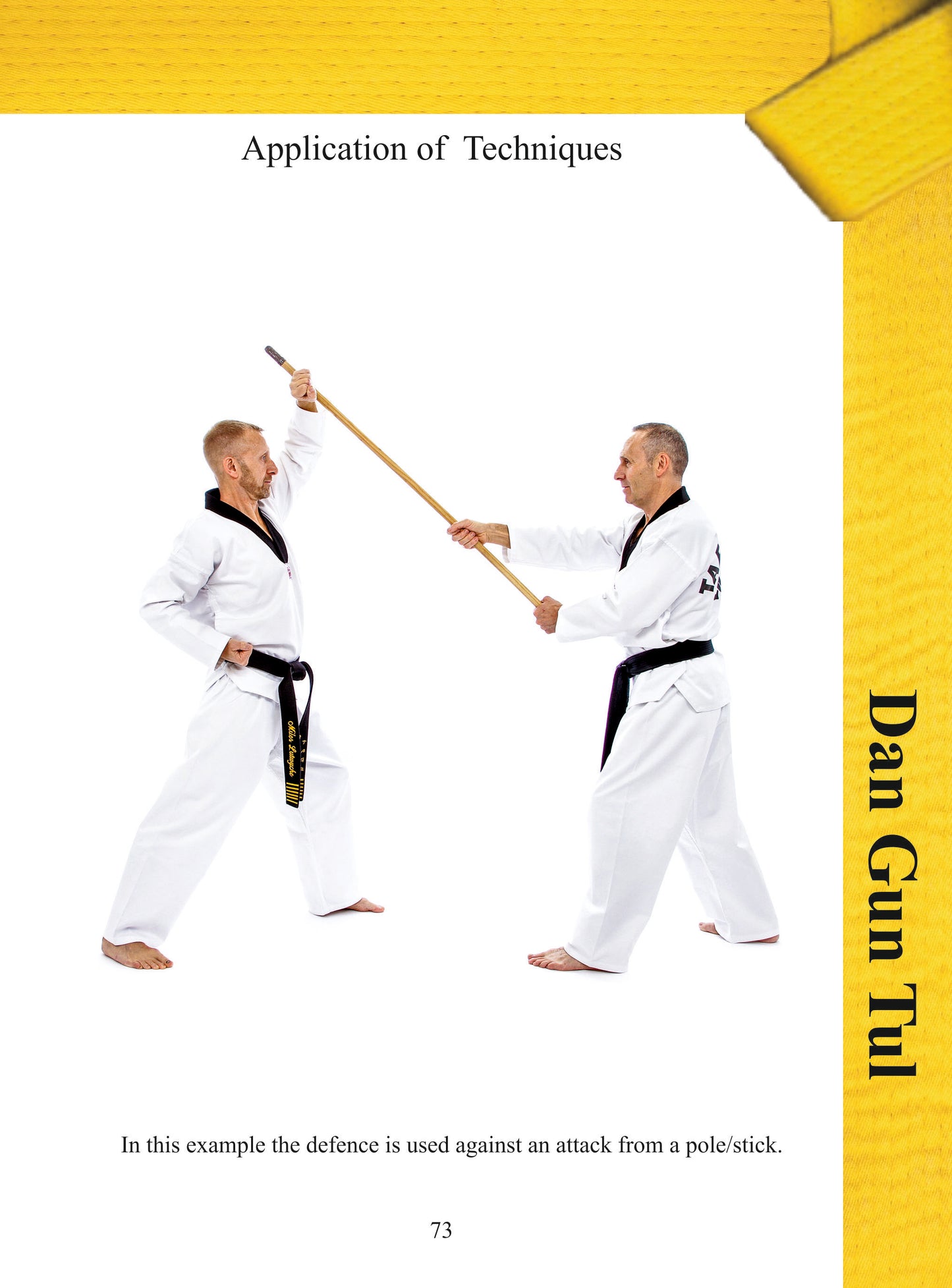 Colour Belt Taekwondo Patterns - Chon ji, Dan Gun, Do San