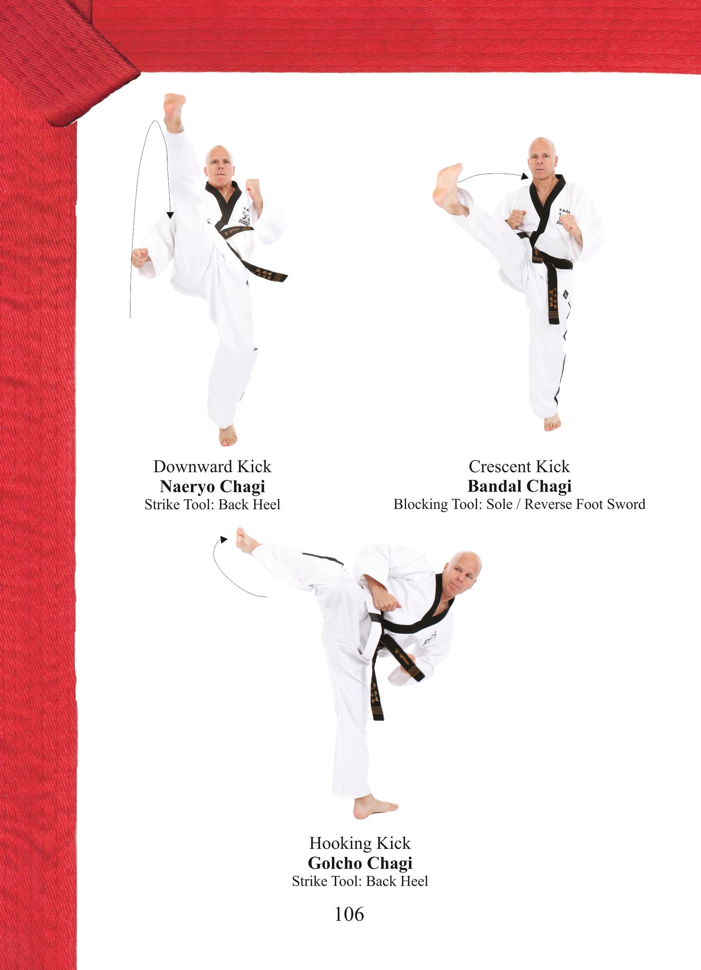 Terminology & Grading Syllabus - White Belt to Black Belt