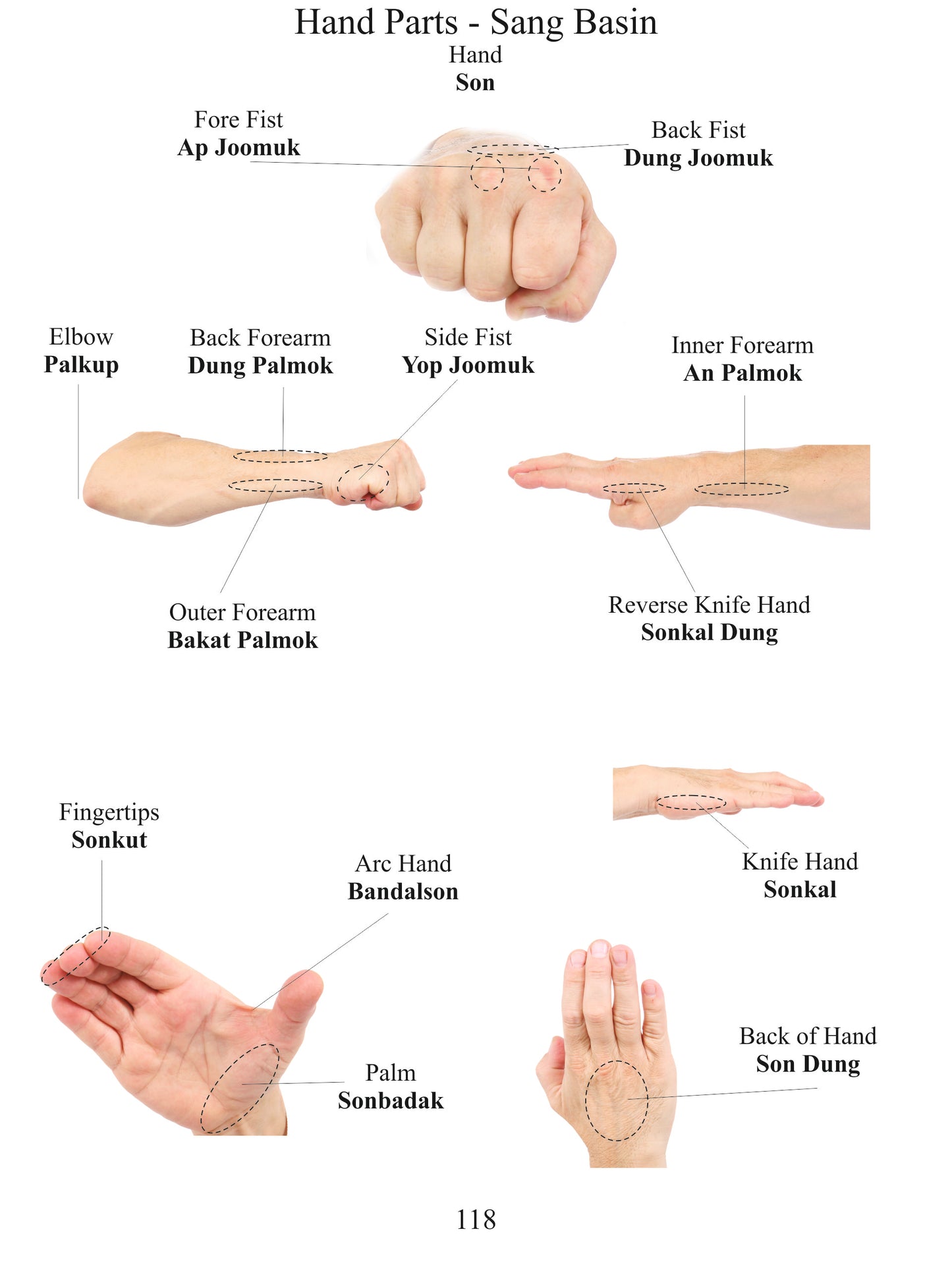 Terminology & Grading Syllabus - White Belt to Black Belt