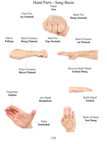 Terminology & Grading Syllabus - White Belt to Black Belt