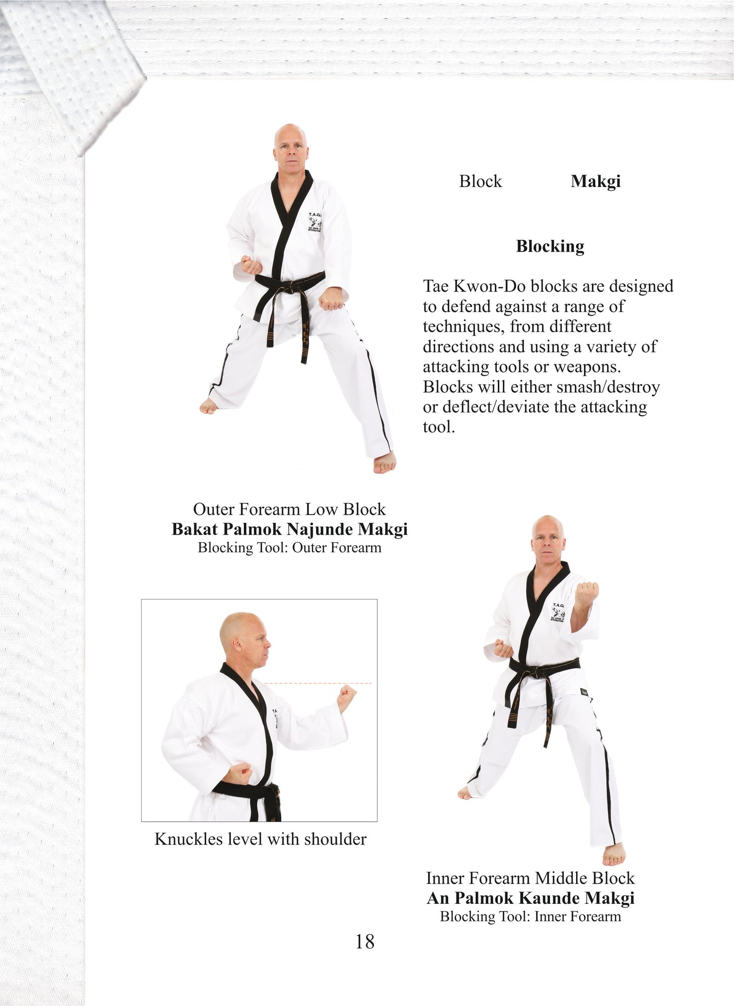 Terminology & Grading Syllabus - White Belt to Black Belt