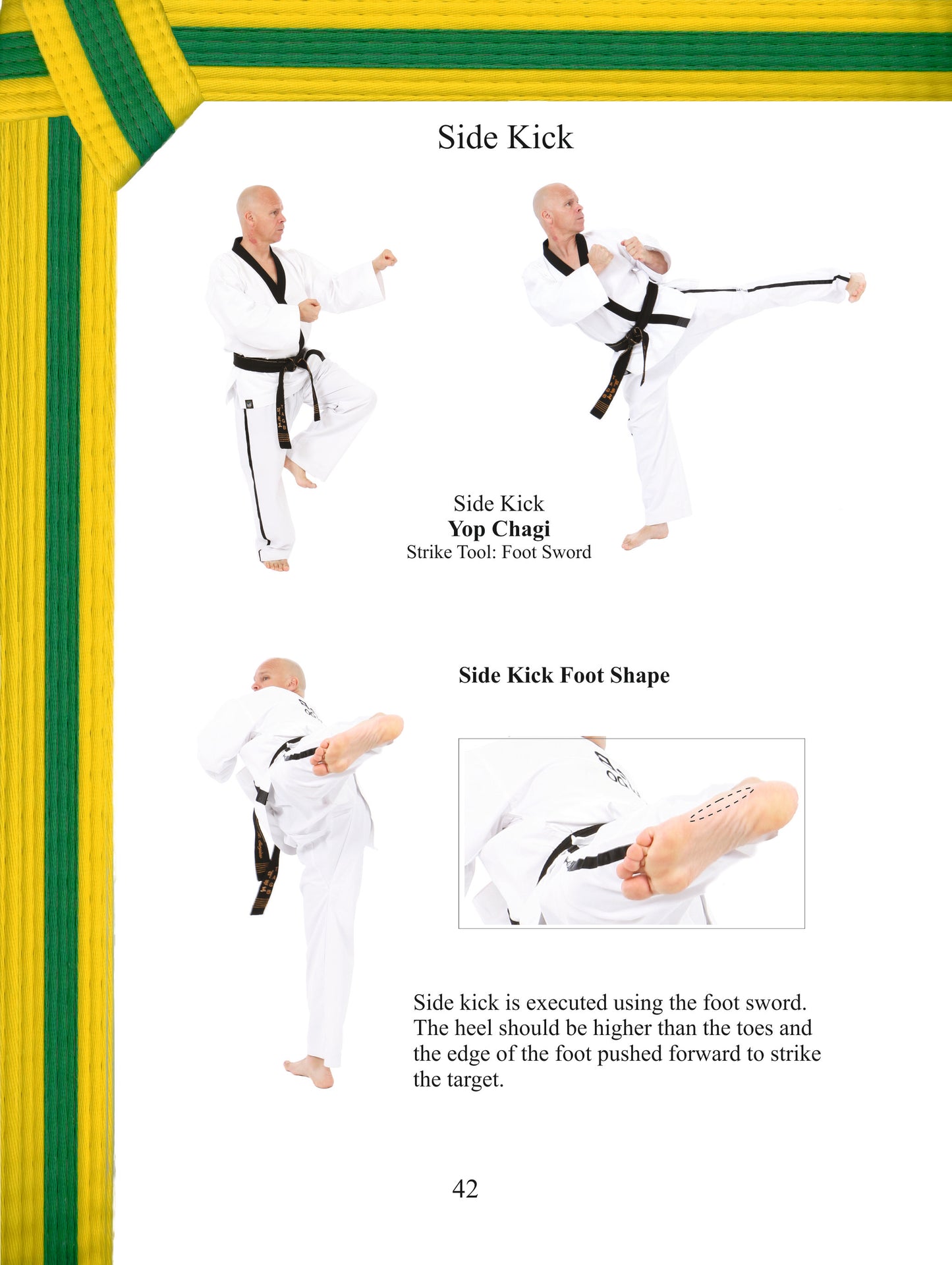 Terminology & Grading Syllabus - White Belt to Black Belt