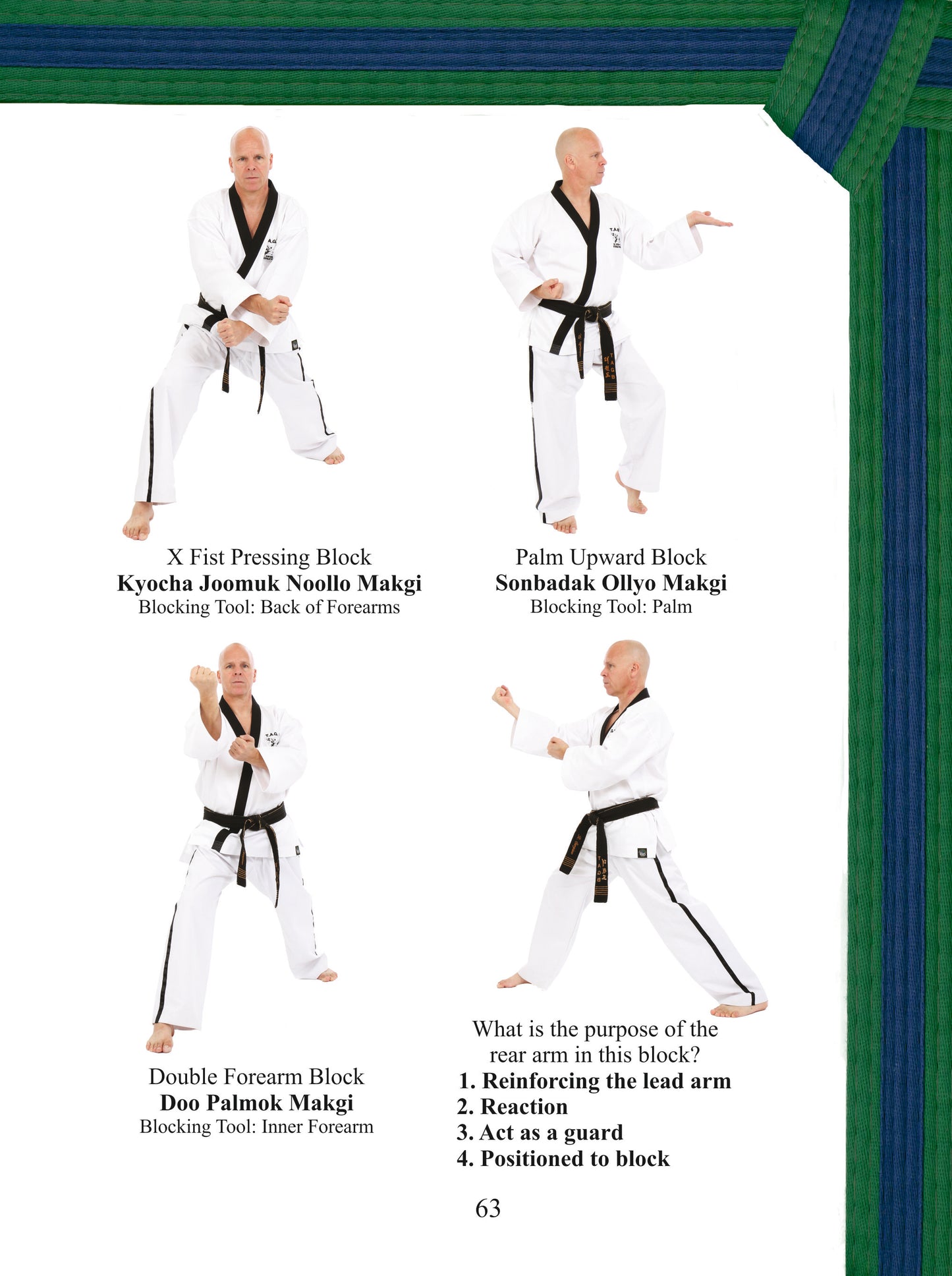 Terminology & Grading Syllabus - White Belt to Black Belt
