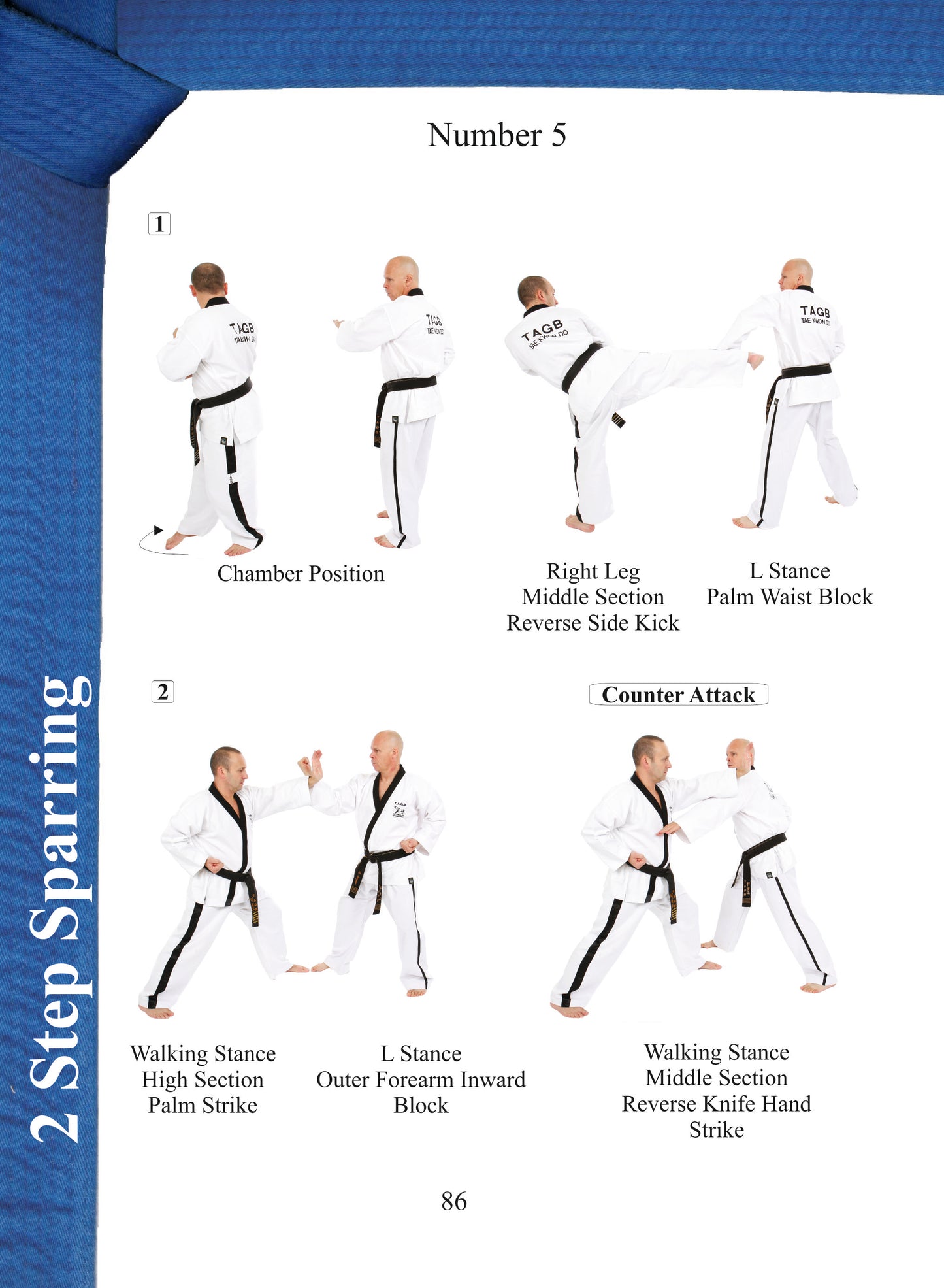 Terminology & Grading Syllabus - White Belt to Black Belt