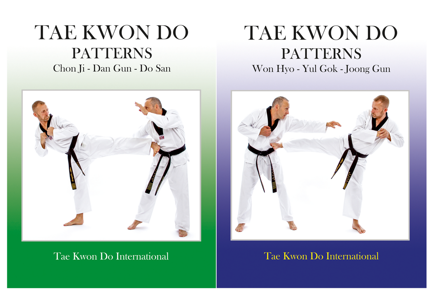 Taekwondo International Green & Blue Books